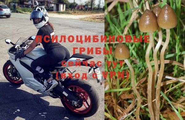 круглые Лагань