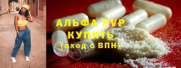 мдпв Ладушкин
