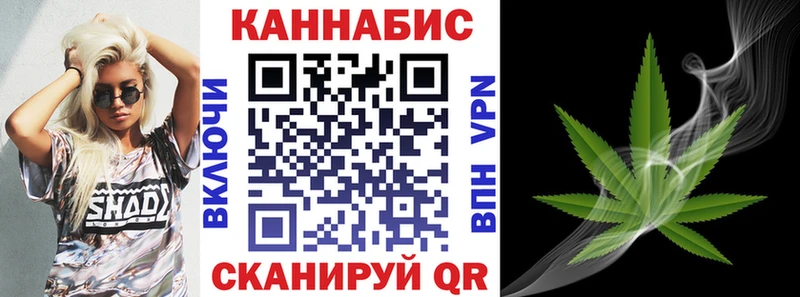 где найти   Мурино  Канабис конопля 